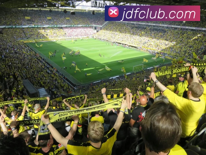 金大发娱乐城官网APP 体育赛事宣传图